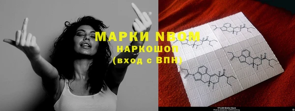 прущие грибы Беломорск