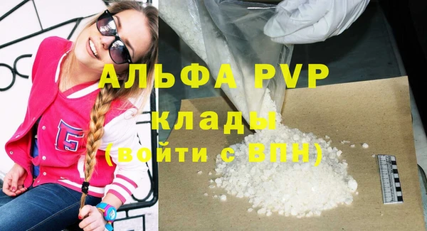 ГАЛЛЮЦИНОГЕННЫЕ ГРИБЫ Белокуриха