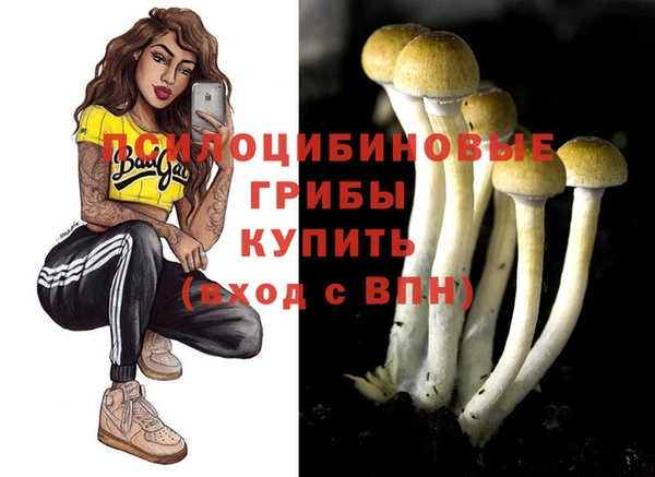 ГАЛЛЮЦИНОГЕННЫЕ ГРИБЫ Белокуриха