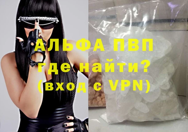 прущие грибы Беломорск