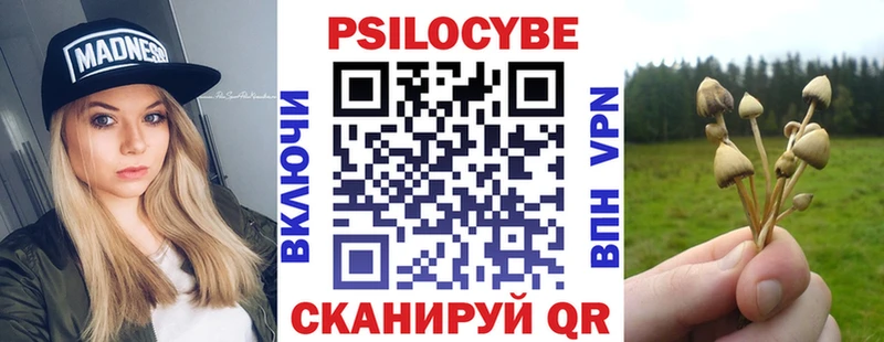 Псилоцибиновые грибы прущие грибы  Реутов 