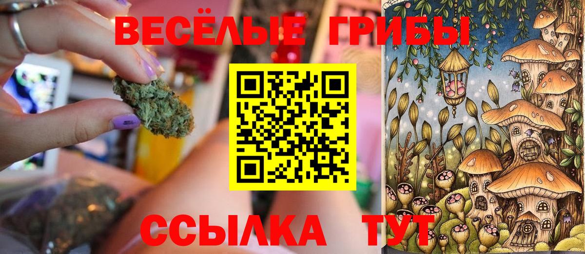 Реутов  Галлюциногенные грибы ЛСД  где продают   Галлюциногенные грибы Psilocybine cubensis  Вход с VPN 